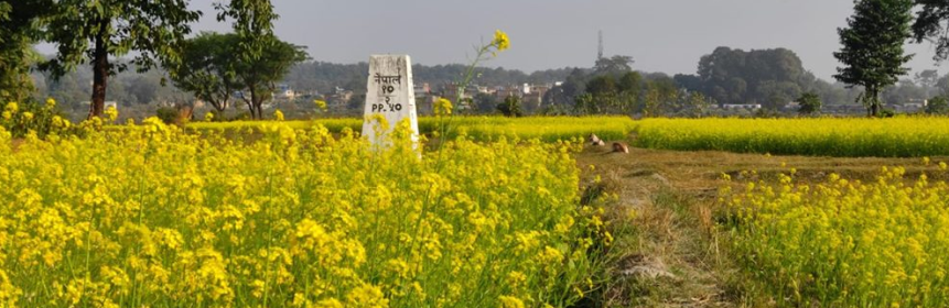 दशगजा वारिपारि पहेँलपुर तोरीबारी