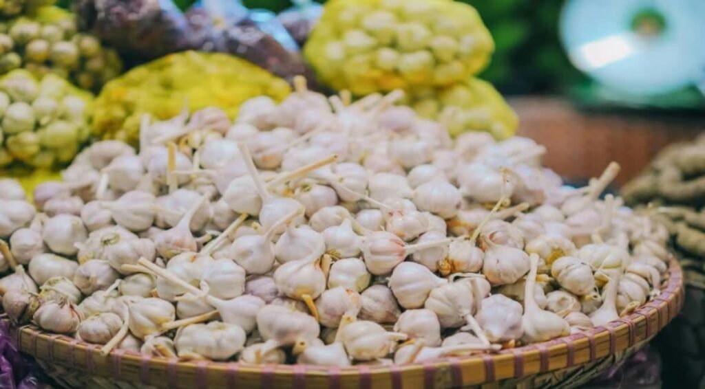 मुसिकोटले अविश्वसनीय १४० टन लसुन फलाउँछ