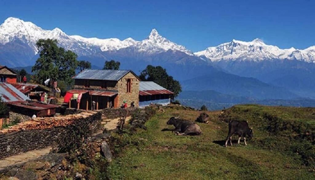 चितवनको उपरदाङ गढी लोकप्रिय यात्रा गन्तव्य बन्दै