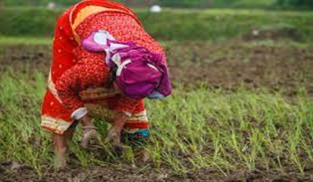 सरकारले कृषिमा ५७.५ अर्ब रुपैयाँ खर्च गर्छ