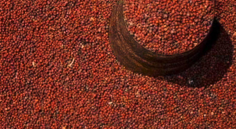 हराउँदै कोदो, बढ्दै माग